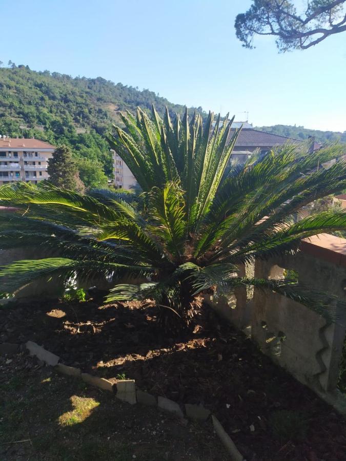 Bed & Breakfast Lujocanda Casarza Ligure Exterior photo